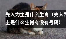 了解"先入为主"生肖的具体类型和编号