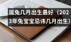 2023年兔宝宝:最佳出生日期在哪个月?一份详细的属兔人忌讳月份指南