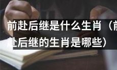 哪些属相的人属于前赴后继的特质？