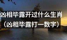 揭秘凶相毕露所揭示的生肖运势，猜猜其中打出的数字是多少？