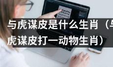 属于哪个生肖呢？