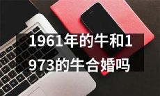 1961年出生的牛和1973年出生的牛是否有可能结合婚姻？