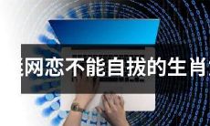 十二生肖女子因沉迷于网恋而难以自拔，引发家庭问题的现状分析