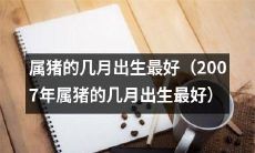 关于2007年属猪的人，哪些月份出生最为适宜？