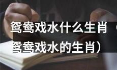 哪些生肖与鸳鸯戏水有关（鸳鸯戏水相关的生肖有哪些）