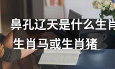 究竟是生肖马还是生肖猪？探析鼻孔辽天这一神秘的动物特征与其可能的生肖归属