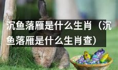 请问沉鱼落雁是哪个生肖（沉鱼落雁属于哪个生肖）？