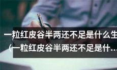 什么生肖对应着一粒红皮谷半两还不足这个典故的神秘象征意味?