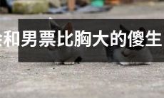 如何应对身材不占优势、与男友身材不对称的愚笨女生