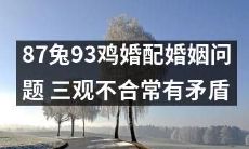 经典动物婚配：针对87只兔和93只鸡的婚姻问题，讨论其三观不合引发的常见矛盾