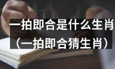 如何通过一拍即合猜出对方的生肖？