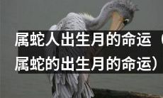 探寻属蛇人出生月所带来的吉凶祸福：揭秘属蛇出生月的命运奥秘