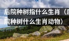 种什么生肖动物的树适合种在后院中呢？