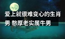 爱一旦落定，无法轻易更改的星座特征——慈眉善目、Old School 的牛牛男！