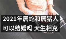2021年生肖为蛇和猪的人是否可以顺利结婚？由于天生相克，这对婚姻是否会面临挑战？
