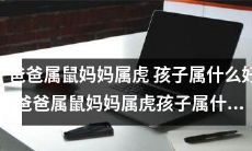 父属鼠母属虎的配对，孩子应当归属何种属相？
