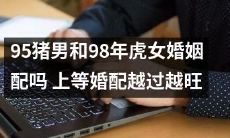探究婚姻配对的秘密：95年猪男与98年虎女是否合拍？最新研究表明，上等婚配越来越为人们所青睐，这对年龄相差三岁的宝宝们的婚姻是否会越过海啸山丘，蓬勃发展？