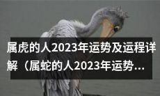 属虎者的2023年全面运势分析及未来趋势展望,附详细解读与建议(附属蛇者的2023年全面运势分析及未来趋势展望,附详细解读与建议)