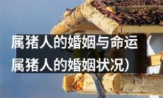 关于属猪人的婚姻：探讨命运、状况及其影响