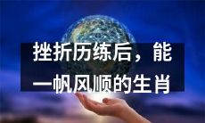 经历挫折的历练后,哪个生肖能够顺风顺水地前行?