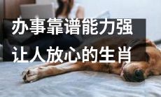 十二生肖中拥有办事靠谱能力强,让人放心的生肖推荐