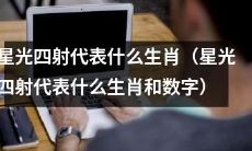 究竟是哪个生肖与数字与“星光四射”搭配在一起？