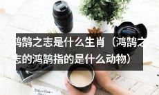 鸿鹄之志所指代的动物是哪一种生肖？