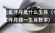 请问七星伴月猜一下是哪个生肖数字？