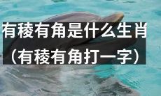 什么生肖拥有名称中带有“稜角”的特征?(改用常规汉字写作“棱角”)
