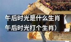 午后时光到底对应哪个生肖呢？让我们一起猜猜看吧！