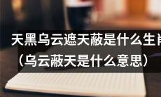乌云密布天空，挡住太阳，那么这个生肖是什么呢？（探究乌云蔽天的象征意义，猜测对应的生肖）