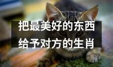 寓意深远的十二生肖：以最美好的心灵之物馈赠他人