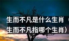 哪一个生肖对应着“生而不凡”的含义？