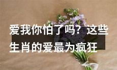 你是否害怕爱上我?这些生肖对爱情的追求最为狂热!