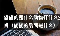 偷偷地揭秘：哪种动物最喜欢对应打哪个生肖？