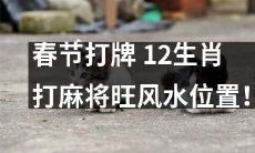 春节必备:12生肖打麻将,如何选定旺风水位置?