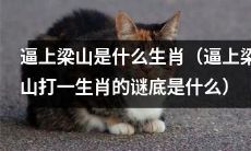 请问“逼上梁山”这个谜底是指哪个生肖呢？