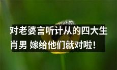 四个老婆安心听从的生肖男,嫁给他们你就不会后悔!