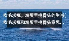 十二生肖中吹毛求疵、鸡蛋里挑骨头的形象描绘：追求完美、挑剔细节的人物特征
