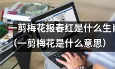 什么生肖会被称为“一剪梅花报春红”，并能解释一下“一剪梅花”的含义吗？