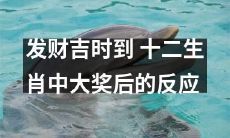 探究发财吉时：十二生肖中中大奖后的心理反应和行为表现