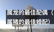 属龙、寻觅最佳婚配的秘诀：寻找属猪的终极伴侣