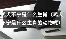 鸡犬不宁是哪两个生肖动物？