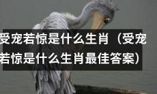 哪个生肖最适合称为“受宠若惊”？（揭秘“受宠若惊”生肖的真实身份）