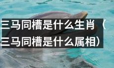 三马同槽是哪些动物所代表的中华十二生肖属相？