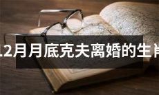 本年12月月末将有哪些生肖面临克夫离婚的风险?