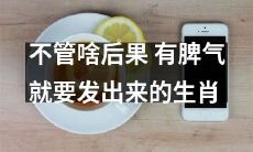 无论结果怎样，坚持发泄脾气的十二生肖