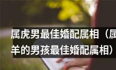如何选择最佳的婚配对象?以属虎男为例,最适合的婚配属相是哪一个?答案是属羊男孩!