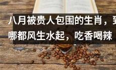 八月受贵人庇佑的生肖，无论走到哪都受人追捧，繁荣昌盛，香车美女、美食佳饮尽在握