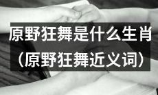 原野狂舞是何种属相？其他可代替原野狂舞的词汇有哪些？